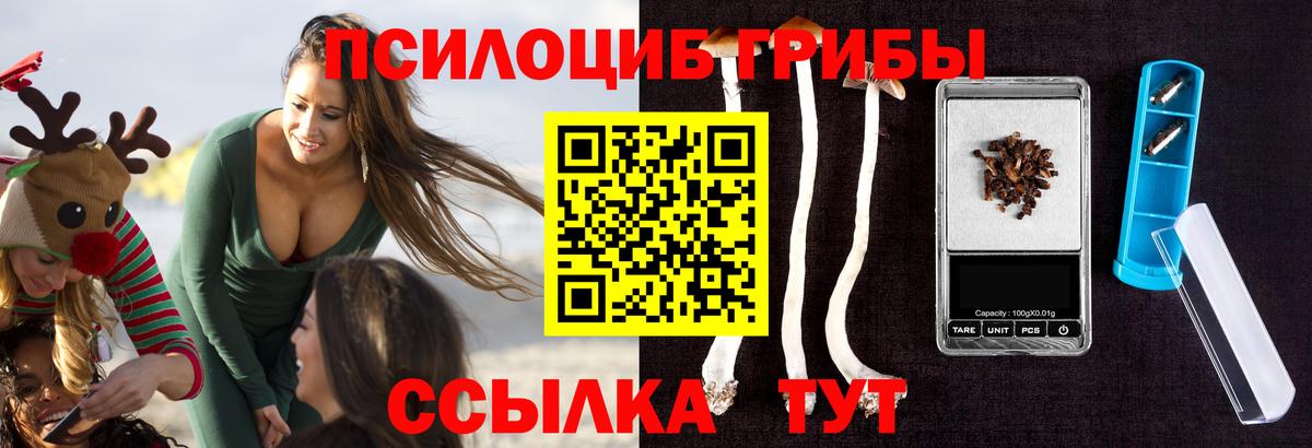 Улан-Удэ  Галлюциногенные грибы Magic Shrooms  Вход с VPN 
